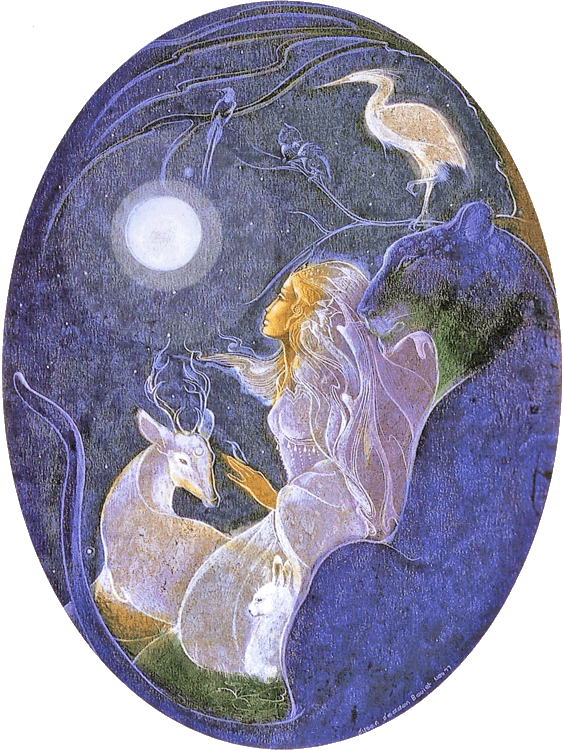 Cerf blanc gaiadeva Cerf blanc gaiadeva